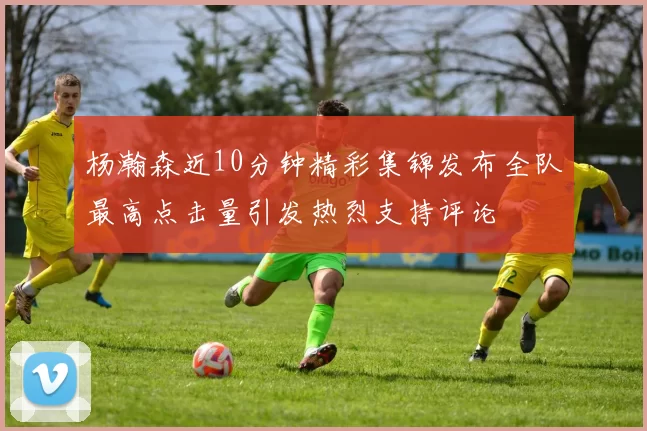 杨瀚森近10分钟精彩集锦发布全队最高点击量引发热烈支持评论